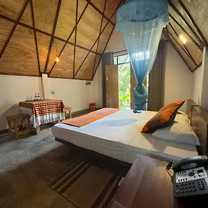 Steps Garden 3*, Negombo Sri Lanka